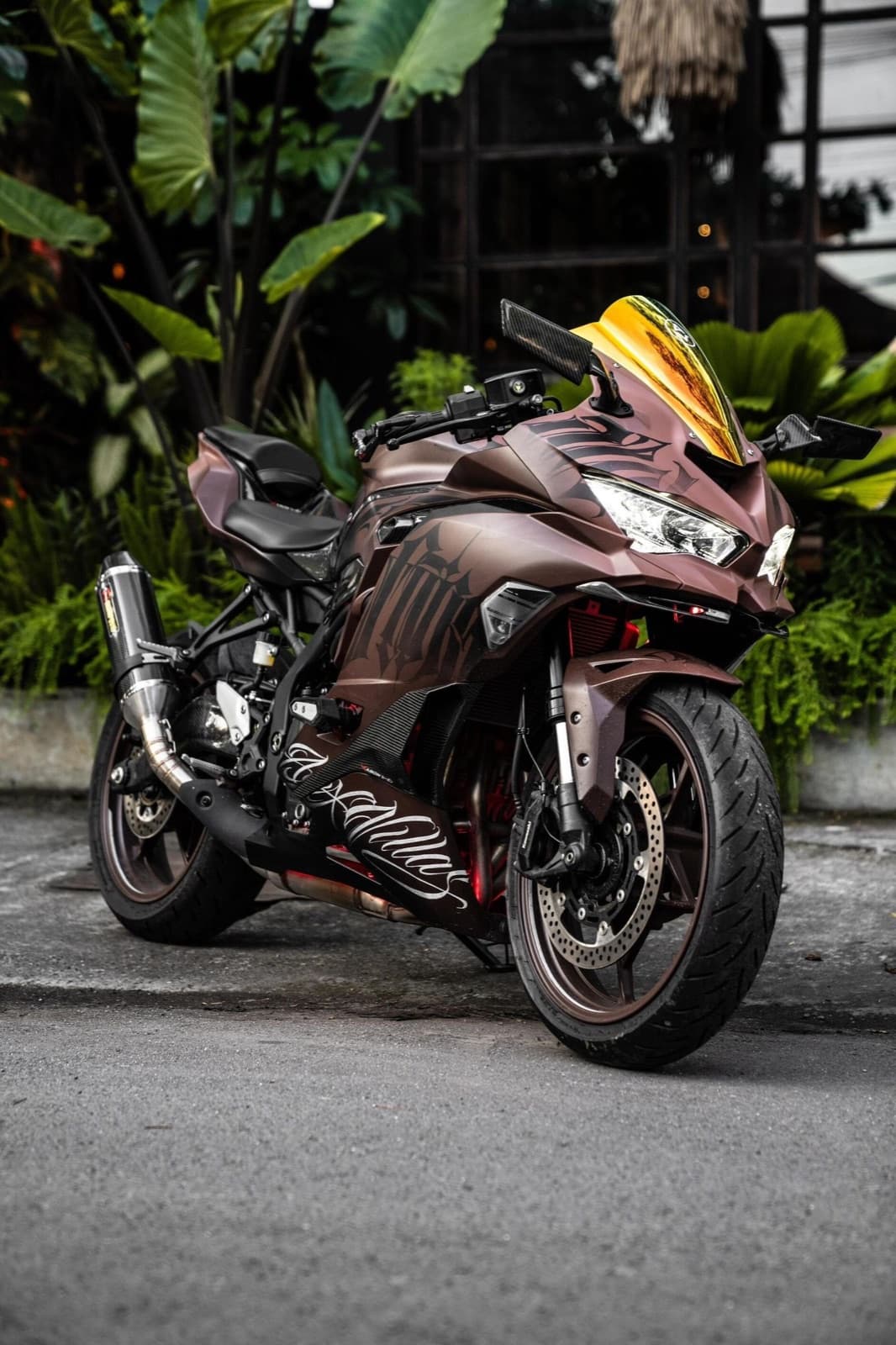 Kawasaki Ninja ZX-25R